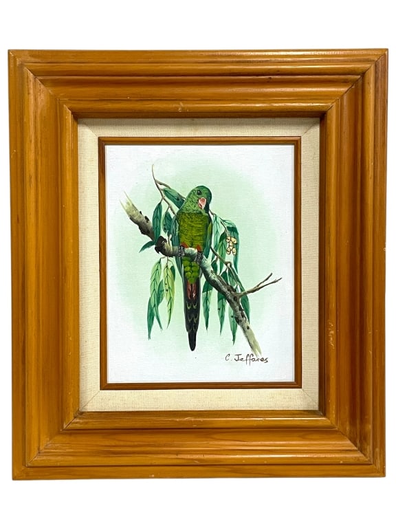 C.JEFFARES PARROT BIRD ORIGINAL PAINTING 17": *for alternative shipping options please go to www.dejavuauctionshipping.com-C. JEFFARES PARROT BIRD ORIGINAL PAINTING ON CANVAS FRAMED ART 17" X 15"-Charming framed original bird painting signed C.
