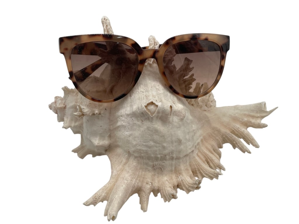 JONES NEW YORK TORTOISE BROWN CATS EYE SUNGLASSES: TORTOISE COLORING on these cool Jones New York Sunglasses Signed on inside of arm Good condition mild wear to the lens msn *** Please check back often, we add NEW ITEMS daily to our active auctions! *