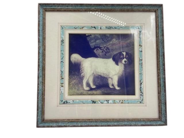 KING SPRINGER SPANIEL VTG ANTIQUE PHOTO FRAMED 12": 12" X 12" IN SIZE Nice vintage condition By bidding on this listing, you understand and agree to be bound by the terms and conditions of DejaVu Auctions. *For ALTERNATE shipping quote or LOCAL PICK-UP