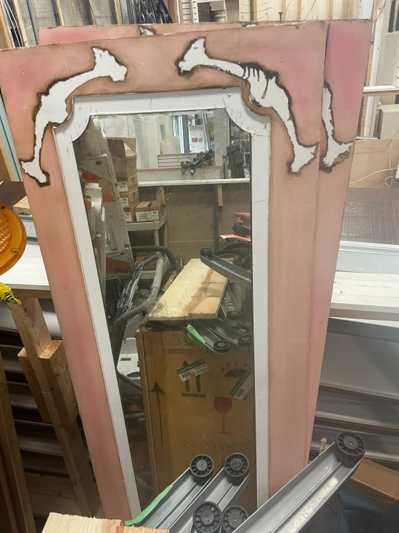 LOT OF 6 FUNHOUSE MIRRORS PINK FULL LENGTH BONES (1 of 7)