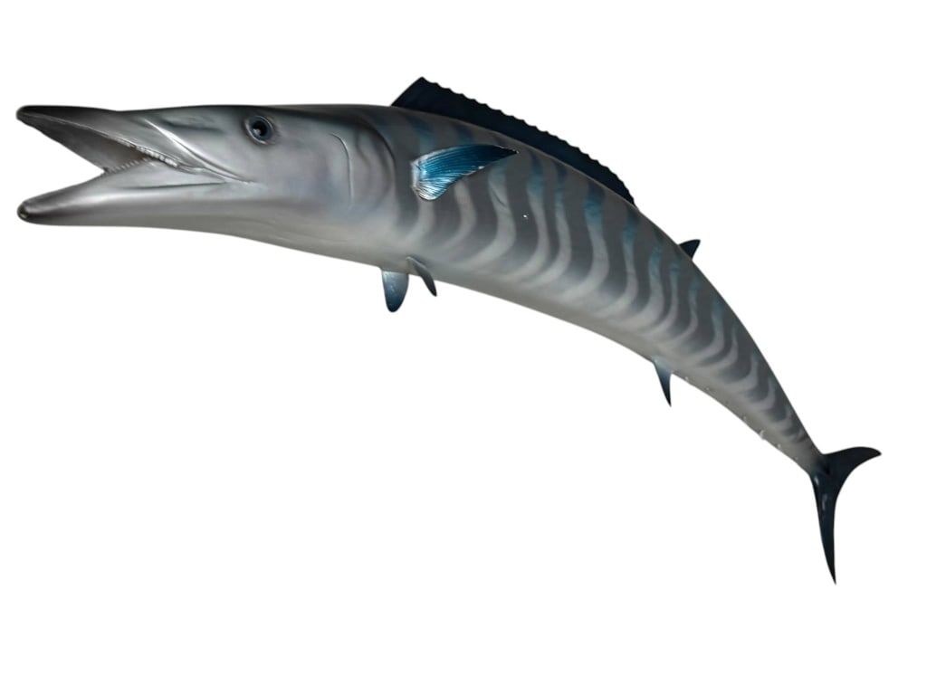 LIFELIKE WAHOO FISH REPLICA MOUNT (1 of 2)