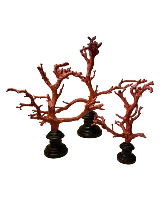 CURREY & CO 3 FAUX RED CORAL BRANCH SCULPTURES 13": Three decorative faux red coral sculptures, each mounted on a round black base. Largest piece measures approximately 17 inches tall and 14 inches wide. Ideal as unique décor accents for home or offic