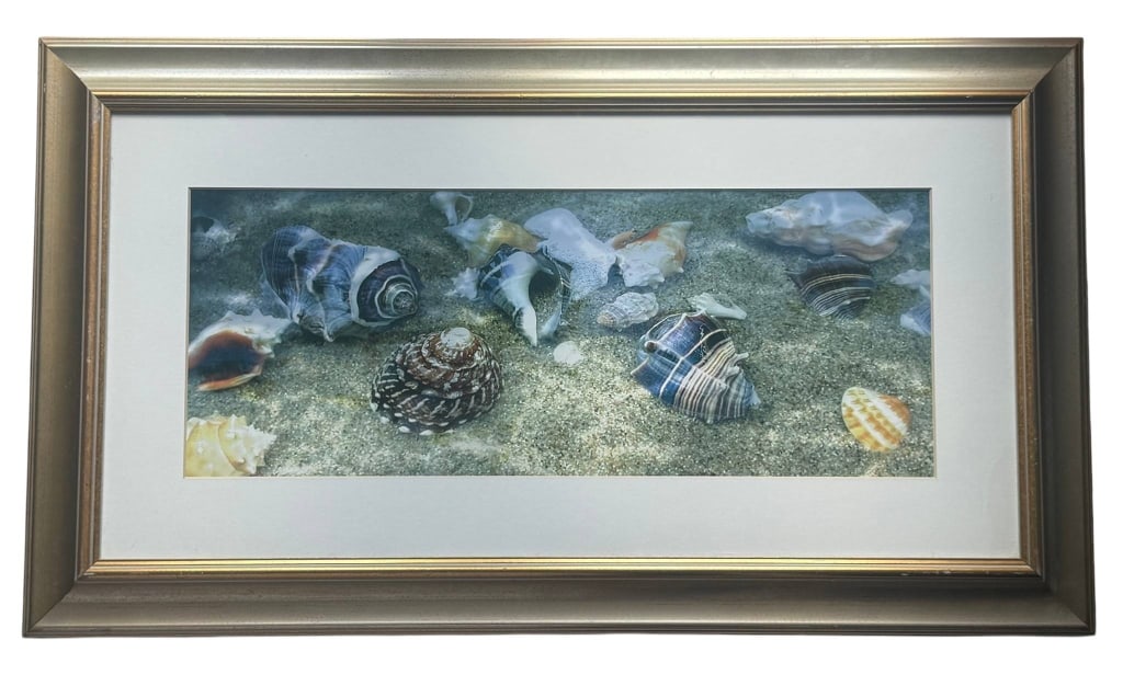 Charles Leonard Seawash Collection Framed Print (1 of 11)