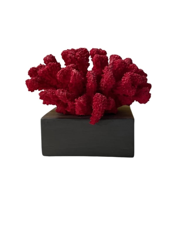 COASTAL DECORATIVE RED CORAL RESIN SCULPTURE 5": Striking red coral-style resin sculpture mounted on a black rectangular base. Measures approximately 5 inches wide and 6 inches tall. Made by Three Hands Corp, item no. 58312, made in China. Ideal as 