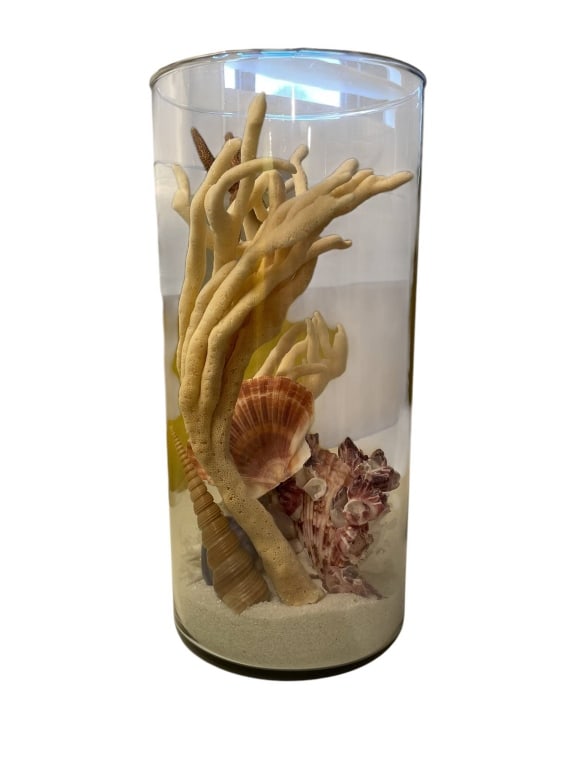 COASTAL GLASS CYLINDER WITH SEA SHELLS AND CORAL 1: Decorative glass cylinder vase displays a collection of sea shells, starfish, and coral on a sand base. Measures approximately 13 inches tall and 6 inches in diameter. A unique marine-inspired decor p