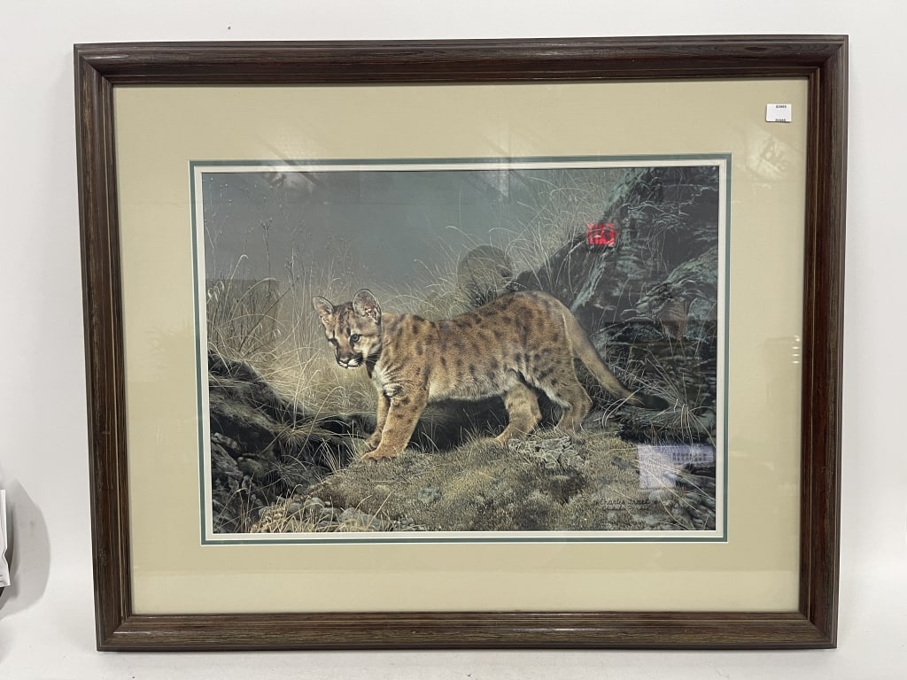 CHARLES FRACE SIGNED COUGAR WILDLIFE PRINT 35" (1 of 5)