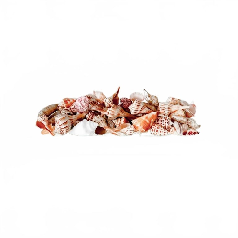 NEW ARTHUR COURT SEA SHELL TRAY: Infuse your gatherings with coastal appeal by serving guests with this sea life and shell-embellished oblong tray by Arthur Court. The textured glass surface features complementary water motifs ? the 