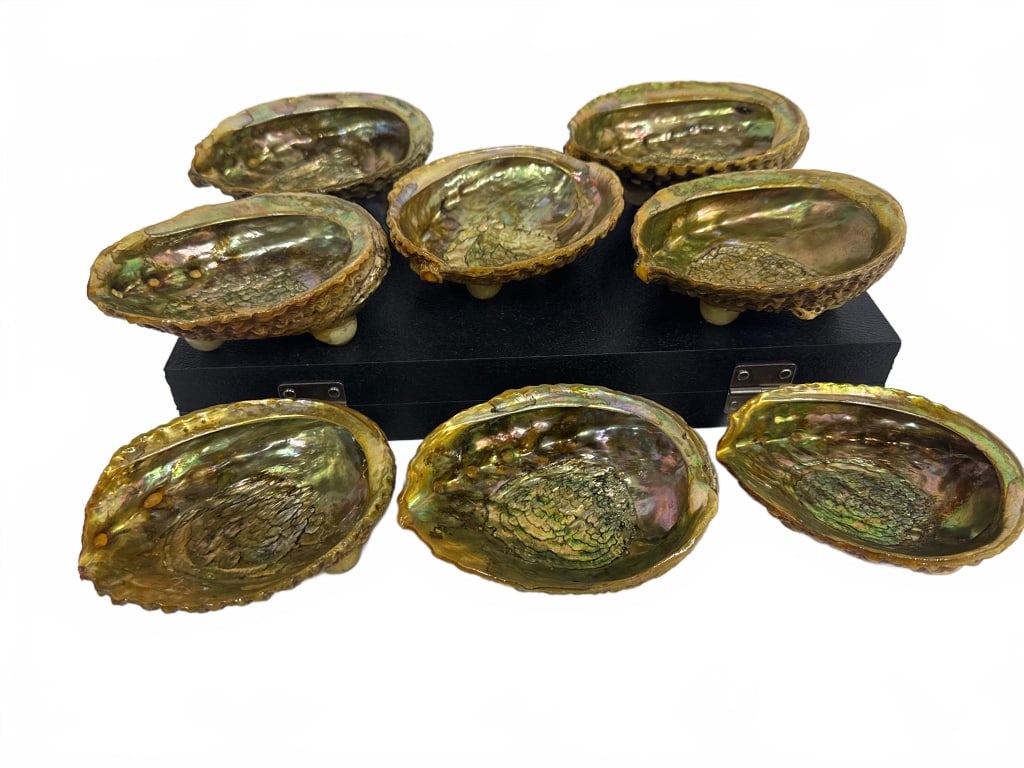 8 Natural Abalone Shells (1 of 3)