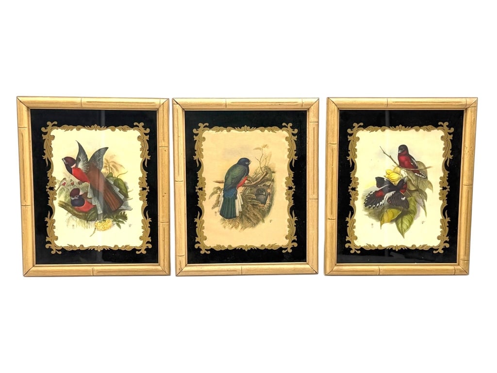 THREE FRAMED BIRD PRINTS UNDER GLASS 11": This charming set of three vintage framed bird prints features colorful avian illustrations presented beneath glass with elegant black mats highlighted by ornate gold decorative borders. Each print de