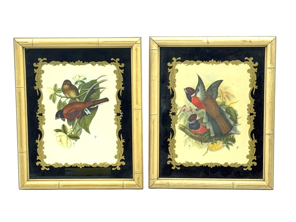 PAIR OF FRAMED BIRD PRINTS UNDER GLASS 11": This decorative pair of vintage framed bird prints features colorful avian illustrations presented beneath glass with elegant black mats accented by ornate gold scrollwork borders. Housed in matching 