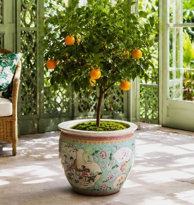 CHINESE FAMILLE ROSE PLANTER 16" (1 of 8)