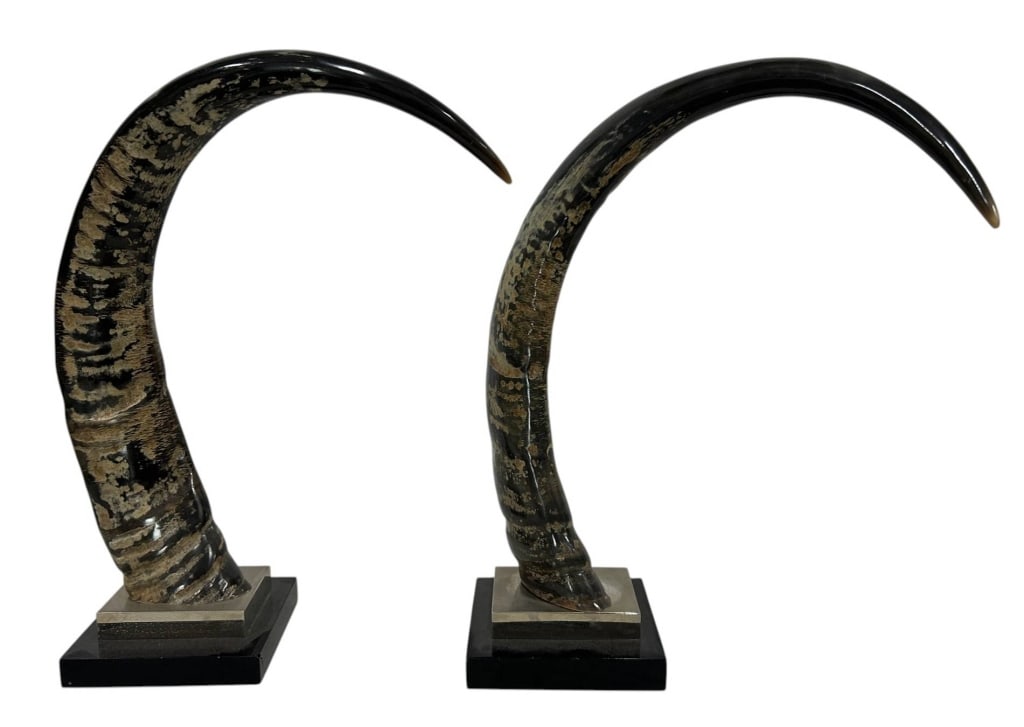 PAIR LARGE DECORATIVE CURVED HORNS ON BASES 21" (1 of 12)