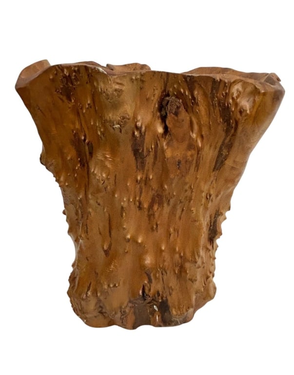 NATURAL BURL WOOD ROOT VESSEL 14" (1 of 8)