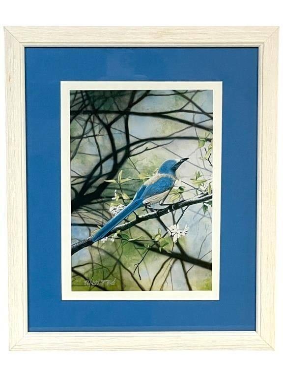 SIGNED JAY BIRD ART PRINT 16": -SIGNED JAY BIRD ART PRINT IN WHITE FRAME WITH BLUE MAT 16" X 13" APPROX | | | -Charming signed print featuring a vivid blue songbird perched on a flowering branch, rendered in a soft, naturalistic st