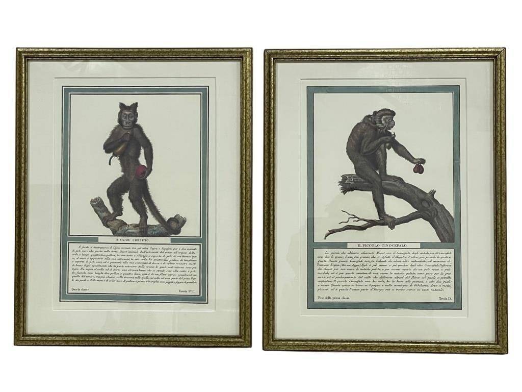 PAIR OF FRAMED VINTAGE STYLE MONKEY PRINTS 15": -PAIR OF FRAMED VINTAGE-STYLE MONKEY PRINTS IN GILT FRAMES ? 15" X 12" APPROX EACH | | | -Decorative pair of primate/monkey prints presented in classic gilt frames with layered matting and a blue-gree