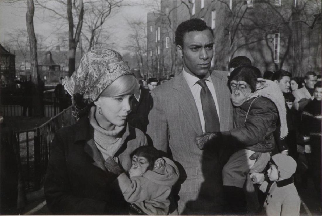 WINOGRAND, Garry. "Central Park Zoo, New York (1 of 4)