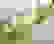item-53048046=4