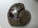 Decorator Lot of Petrified Wood and Fossil. - 3