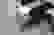 item-54148317=4