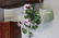 Asian Antique Grouping To Inc . - 4