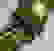 item-56275764=5