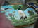 Grouping of Antique/Vintage Asian Items. - 10