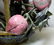 Grouping of Antique/Vintage Asian Items. - 8