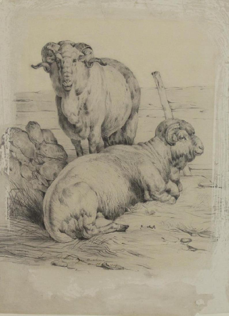 Possibly Rosa Bonheur. Pencil on Paper. Rams, 1848: Inscribed lower left "Souvenir de Marie Rosa Bonheur [Illegible] 1848". Rosa Marie (Rosalie) Bonheur (French, 1822 - 1899). From the Madison Ave, NY estate of a fine art dealer. - Dimensions: 12.5" hi