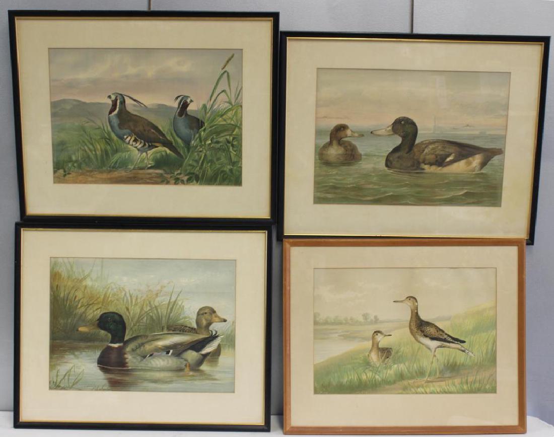 POPE Jr, A. Lot of 4 Lithographs Depicting Game (1 of 9)