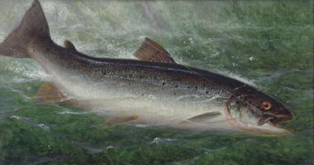 CARY, William De La Montagne. Oil on Canvas. Fish. (1 of 6)