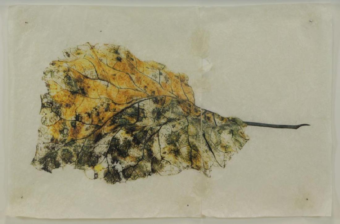 STARN, Mike and Doug. "Black Pulse #11" Inkjet (1 of 9)