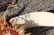 Lot Of Antique Finely Handwoven Area Carpets and 2 - 9