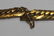 JEWELRY. Assorted Ladies Jewelry Grouping Inc Gold - 8