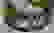 item-59854874=4