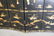Antique Lacquered and Paint Decorated Screen with - 7