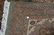 Large Vintage and Finely Handwoven Carpet . - 6