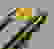 item-61327427=3