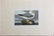 AUDUBON, John James. Lot of 6 "Birds of America" - 14