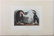 AUDUBON, John James. Lot of 6 "Birds of America" - 16