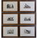 AUDUBON, John James. Lot of 6 "Birds of America"