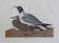 AUDUBON, John James. Lot of 6 "Birds of America" - 4