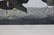 AUDUBON, John James. Lot of 6 "Birds of America" - 7