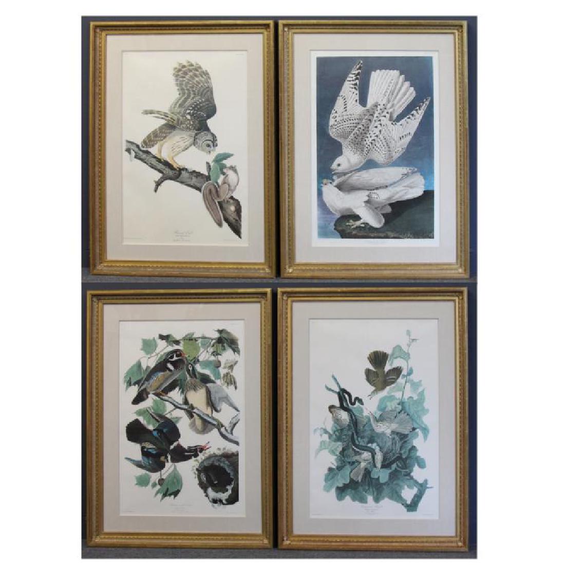AUDUBON, John James. Lot of 4 "Birds of (1 of 14)