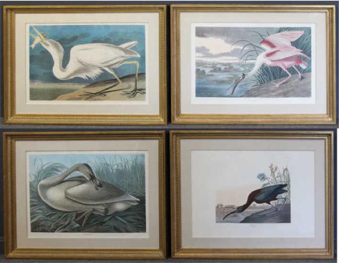 AUDUBON, John James. Lot of 4 "Birds of (1 of 13)