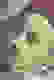 item-65078258=3