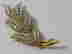 item-65078538=4