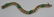 JEWELRY. Signed 14kt Gold and Colored Gem Bracelet - 2