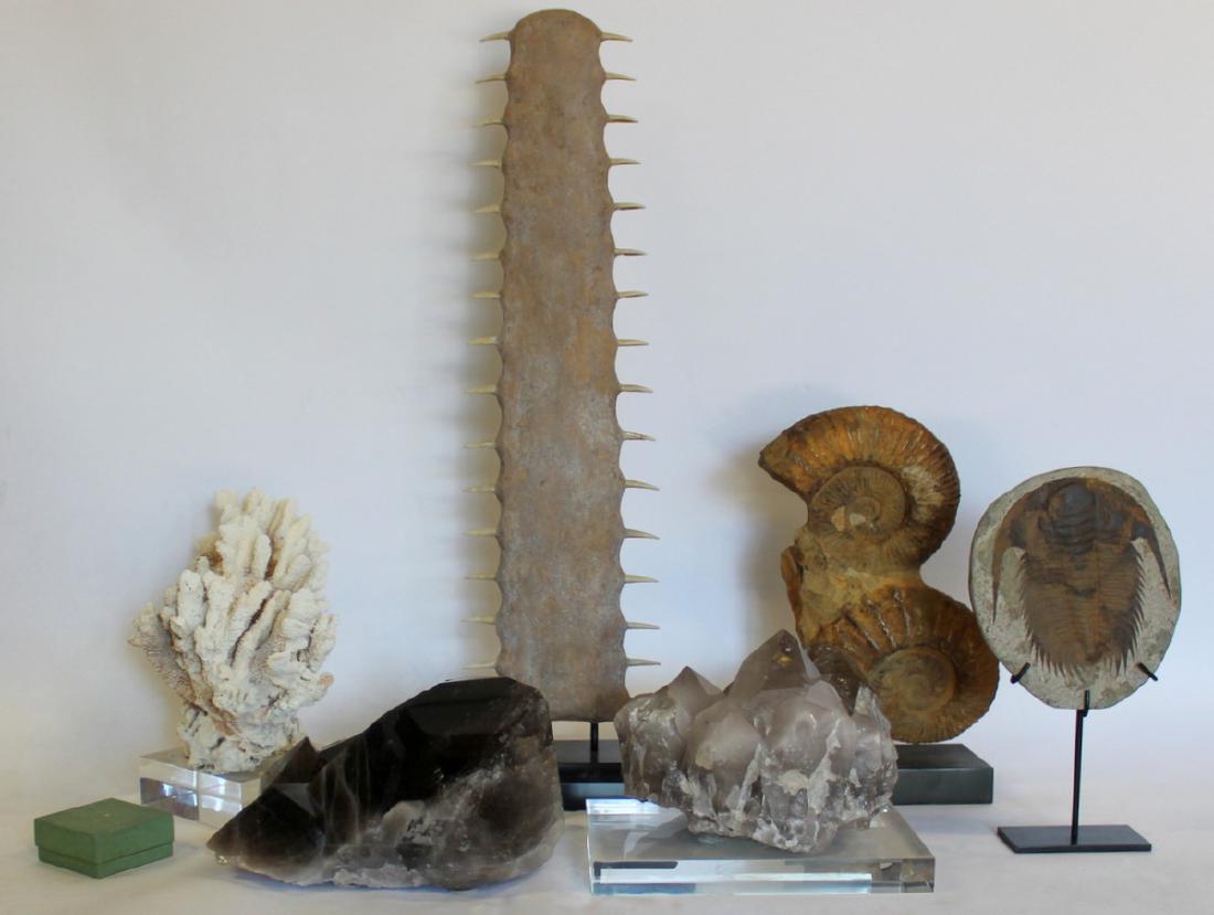 Assorted Grouping of Specimens and Fossils.: Includes a R&Y Augousti French shagreen box with wood lined interior - stamped to underside; a stacked ammonite fossil on plinth base - possible reproduction?; (2) quartz specimens, one on Lucite 