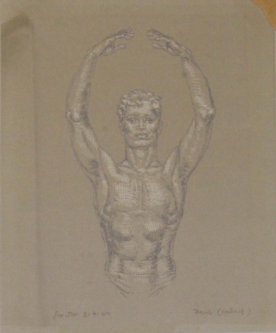 PAUL CADMUS (AMERICAN, 1904-1999).: Pen and Ink. Nude Male. Signed lower right. Dedicated lower left. From the collection of Jon F. Anderson. - Dimensions: 9.5" high x 7.5" wider