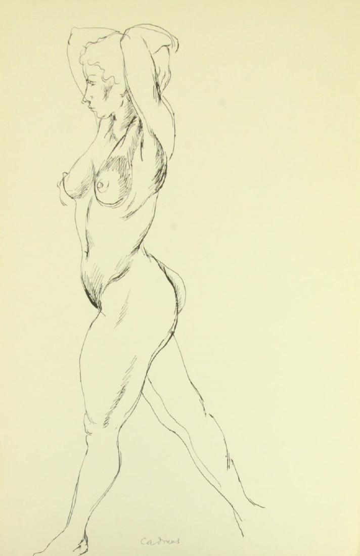 PAUL CADMUS (AMERICAN, 1904-1999).: Pen and Ink. Female Nude. Signed lower center. From the collection of Jon F. Anderson. - Dimensions: Sheet: 16" high x 10.5" wide